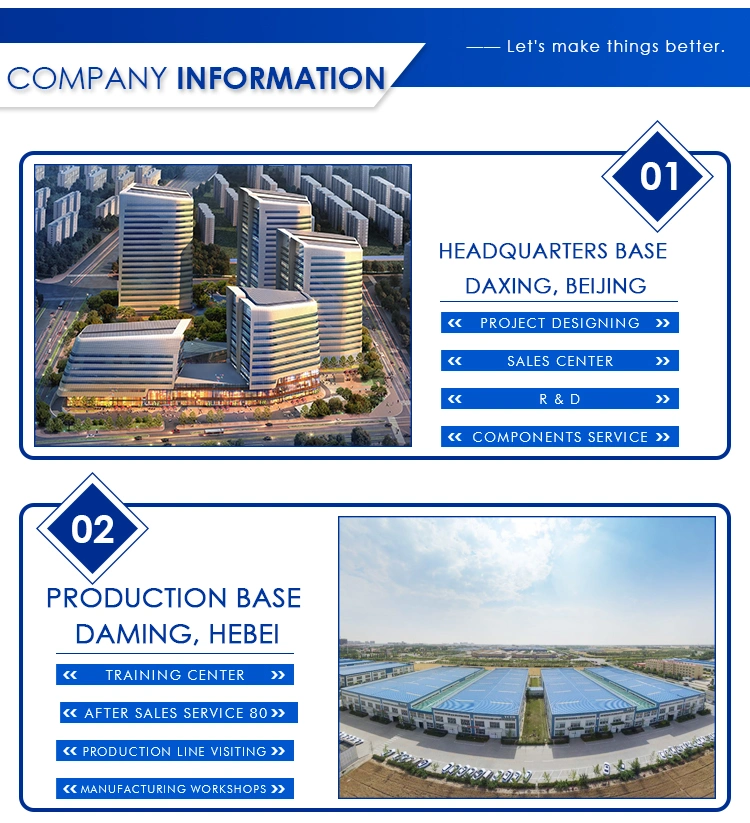 Mineral Plant Project Bottled Water Production Line Auto Carton Box Packer Packaging Machine